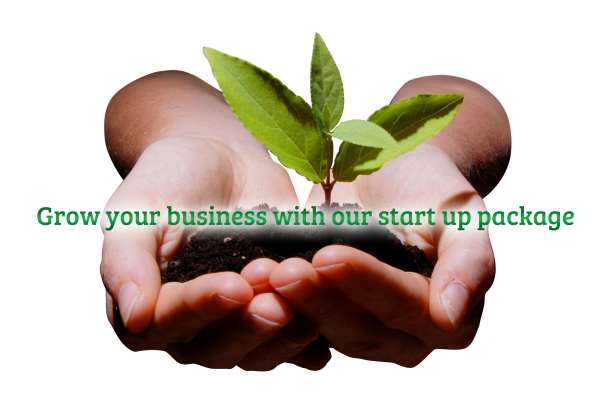 small business start